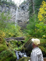 Looking up at Watson Falls (244kb)