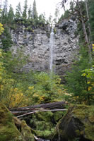 IMG_0568.jpg (202kb)