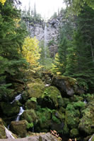 IMG_0573.jpg (184kb)